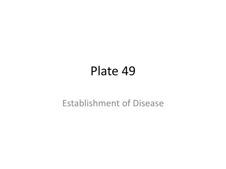 plate 49