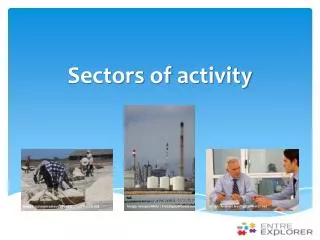 Sectors of activity