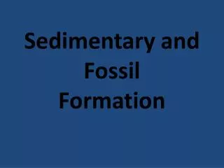 Sedimentary and Fossil Formation