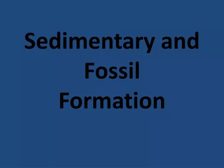 sedimentary and fossil formation