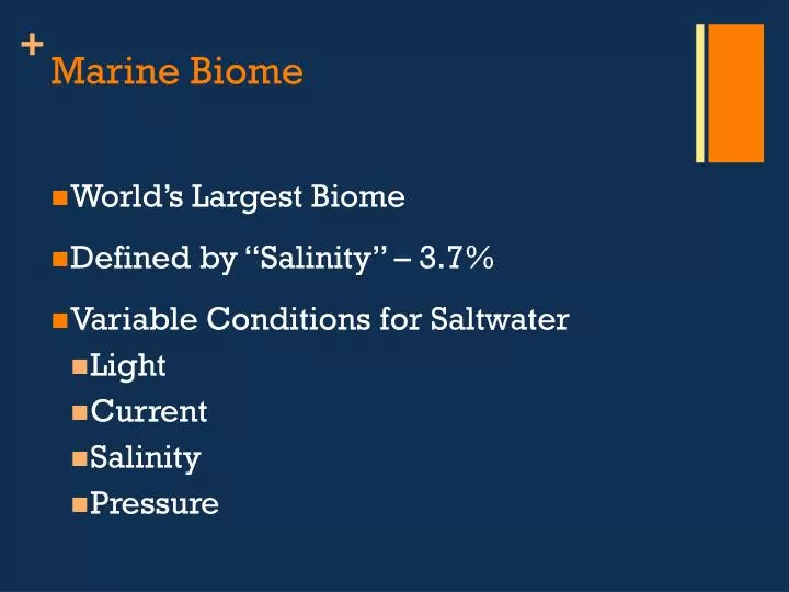 marine biome