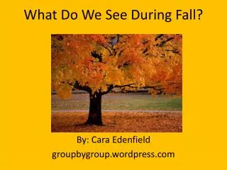 What Do We See During Fall?