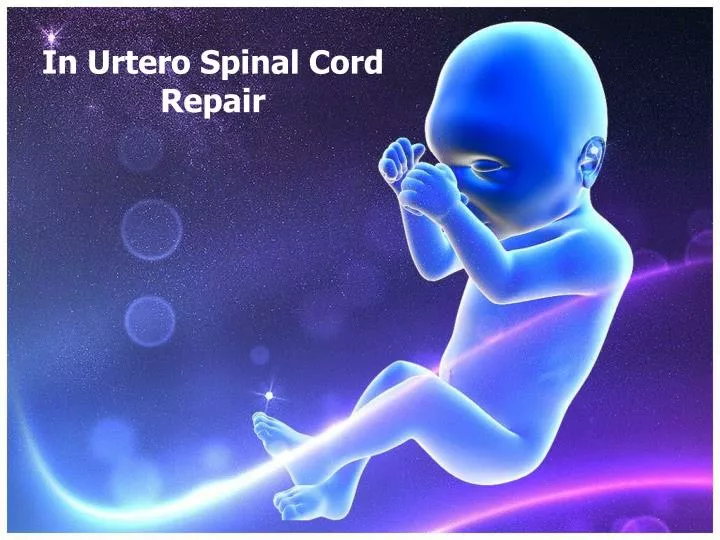 in urtero spinal cord repair