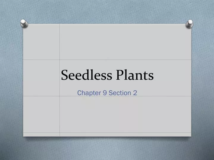 seedless plants