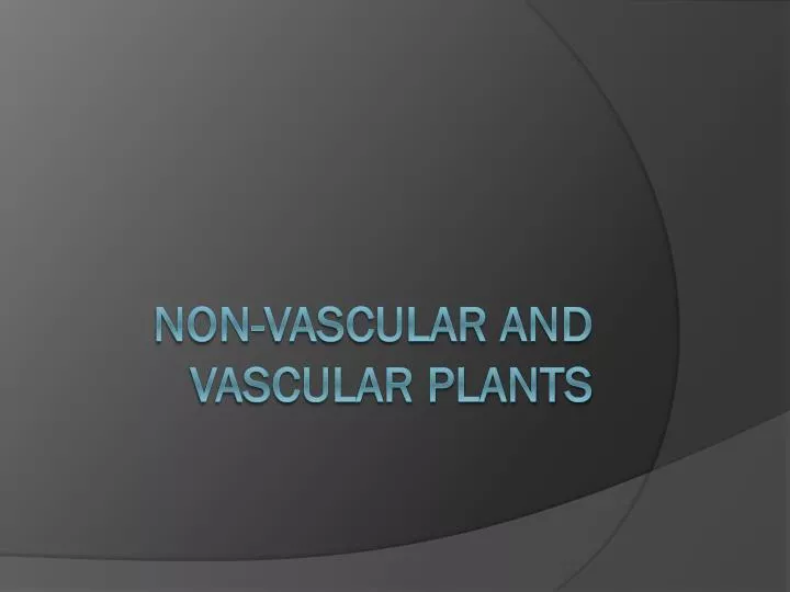 non vascular and vascular plants