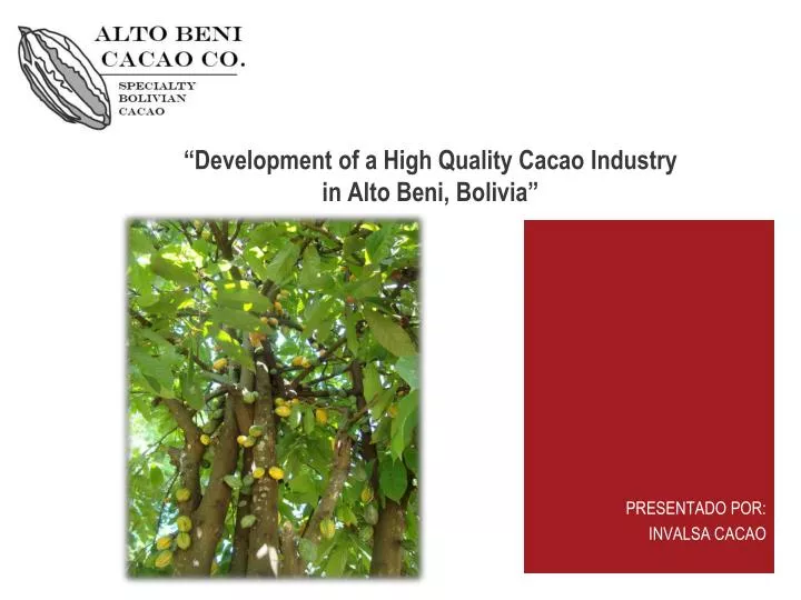 development of a high quality cacao industry in alto beni bolivia