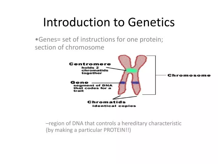 introduction to genetics
