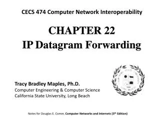 CHAPTE R 22 IP Datagram Forwarding