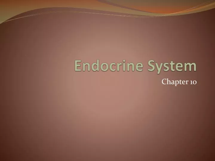 endocrine system