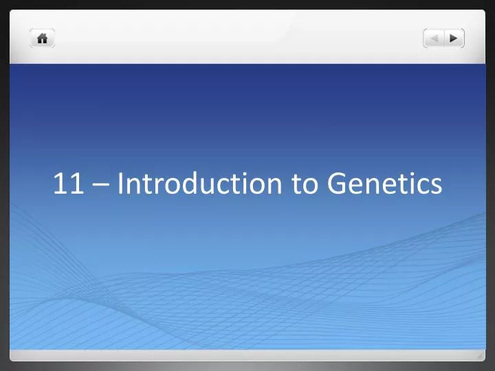 11 introduction to genetics