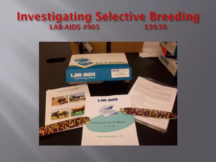 investigating selective breeding lab aids 905 39 50