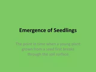 Emergence of Seedlings