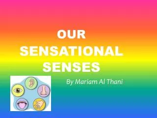 Our Sensational Senses