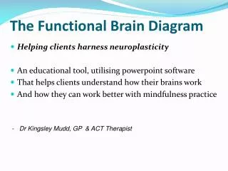 The Functional Brain Diagram