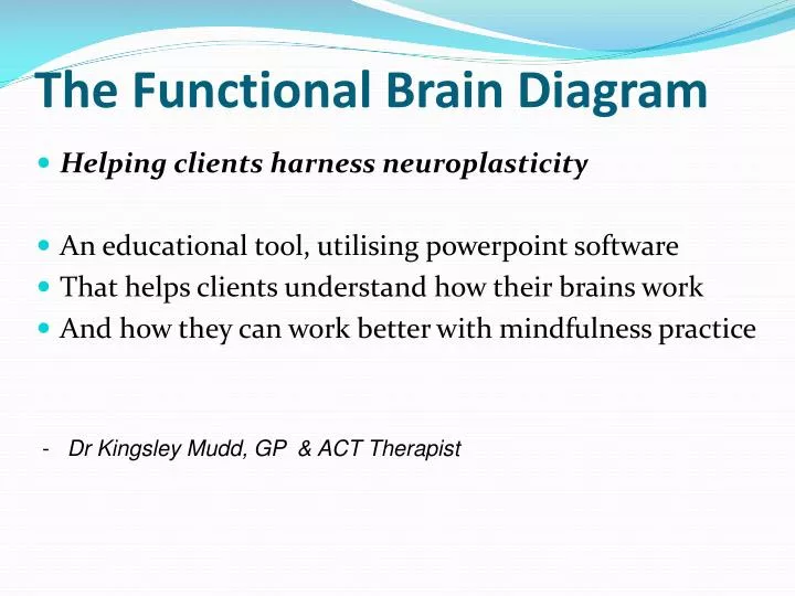 the functional brain diagram