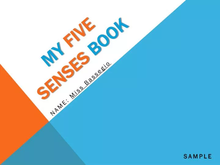 my five senses book