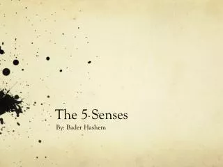 The 5 Senses