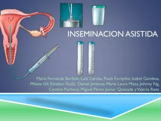 inseminacion asistida