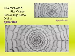Julio Zambrano &amp; Rigo Vivanco Sequoia High School Original Spider Web