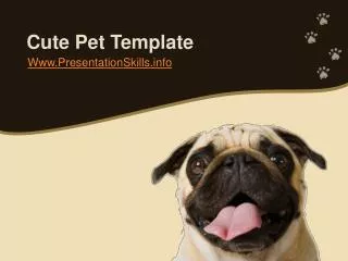 Cute Pet Template