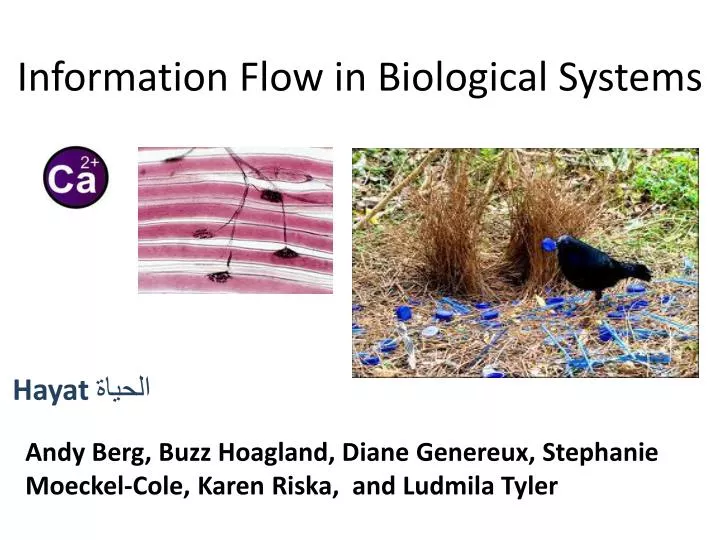 information flow in biological systems