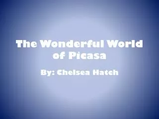 The Wonderful World of Picasa