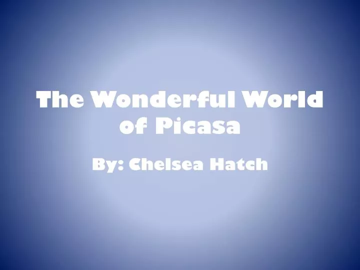 the wonderful world of picasa