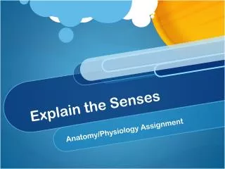 Explain the Senses