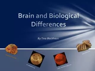 Brain and Biological Differences