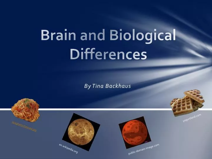 brain and biological differences