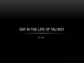 Day in the life of tau boy