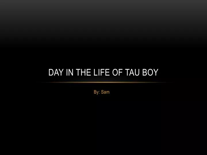 day in the life of tau boy
