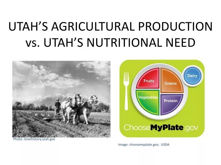 utah s agricultural production vs utah s nutritional need