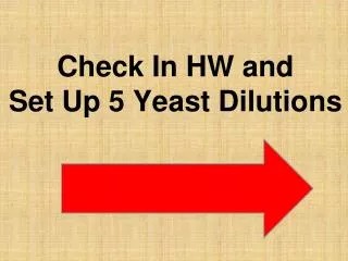 Check In HW and Set Up 5 Yeast Dilutions