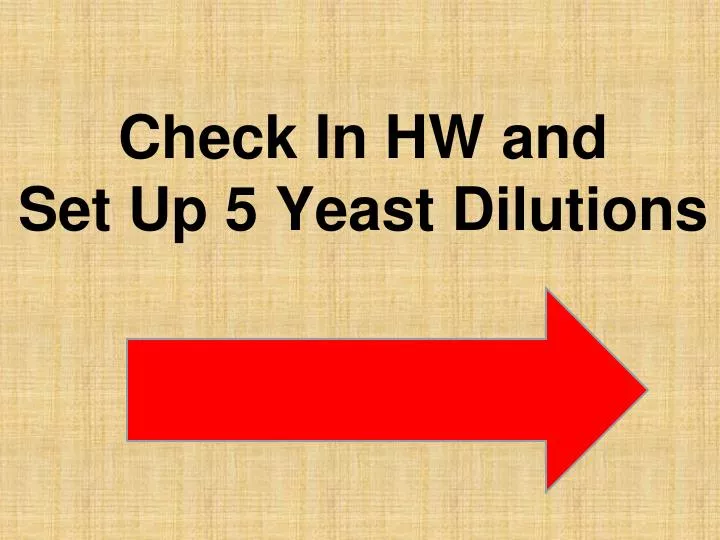 check in hw and set up 5 yeast dilutions