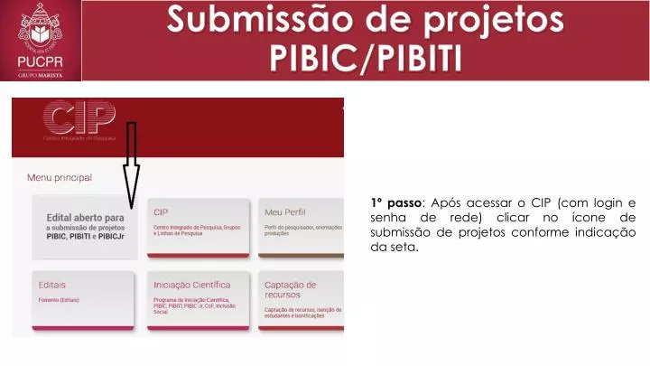 submiss o de projetos pibic pibiti