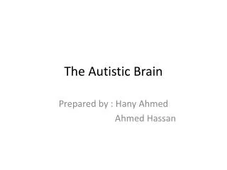 The Autistic Brain