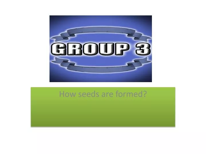 how seeds are formed