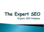 Expert SEO - slide 1