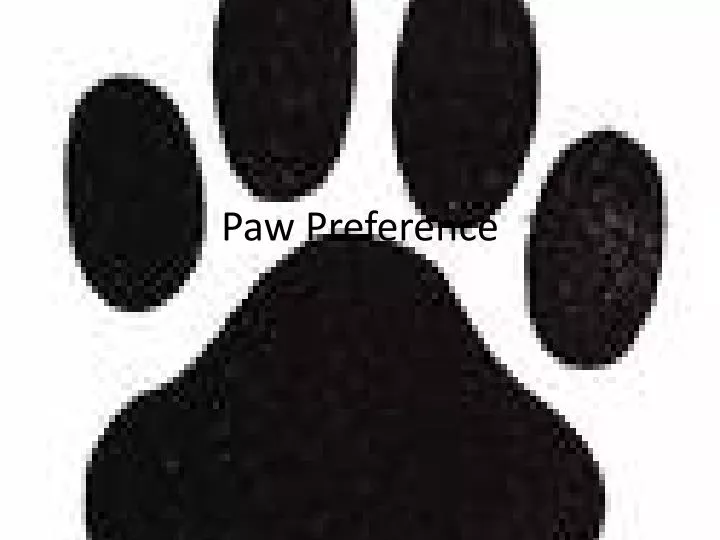 paw preference