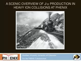 A Scenic Overview of J/ y Production in Heavy Ion Collisions At PHENIX