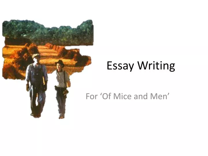 essay writing