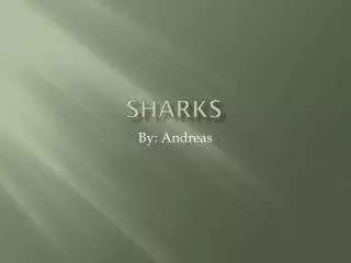 sharks