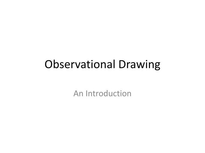 observational drawing