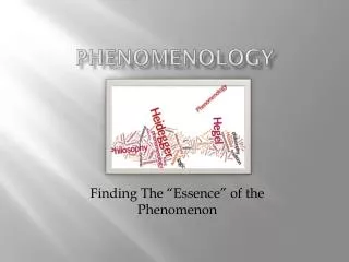 Phenomenology