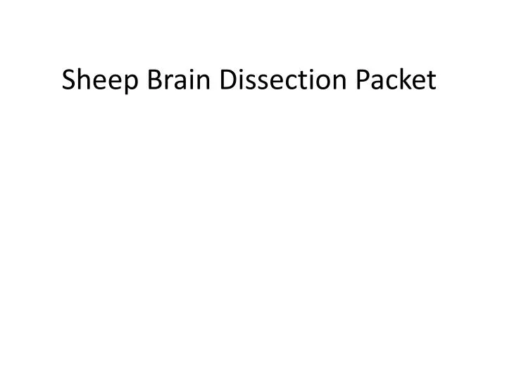 sheep brain dissection packet
