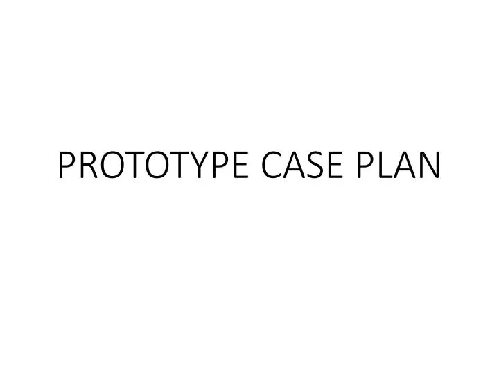 prototype case plan