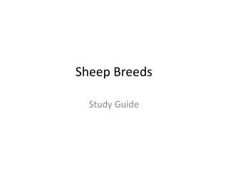 Sheep Breeds