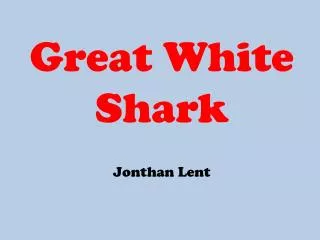 Great White Shark