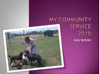 My Community Service 2010